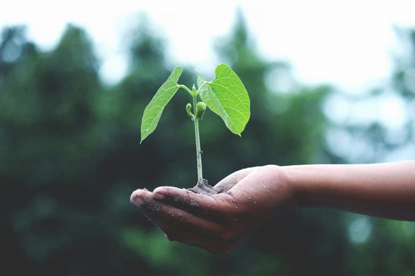 Building Enduring Startup Growth in Europe